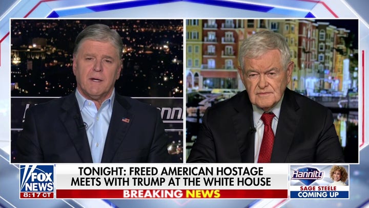Newt Gingrich: Democrats are